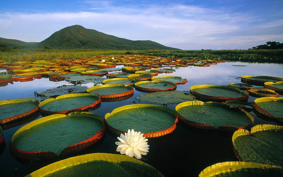 Bonito Brazil