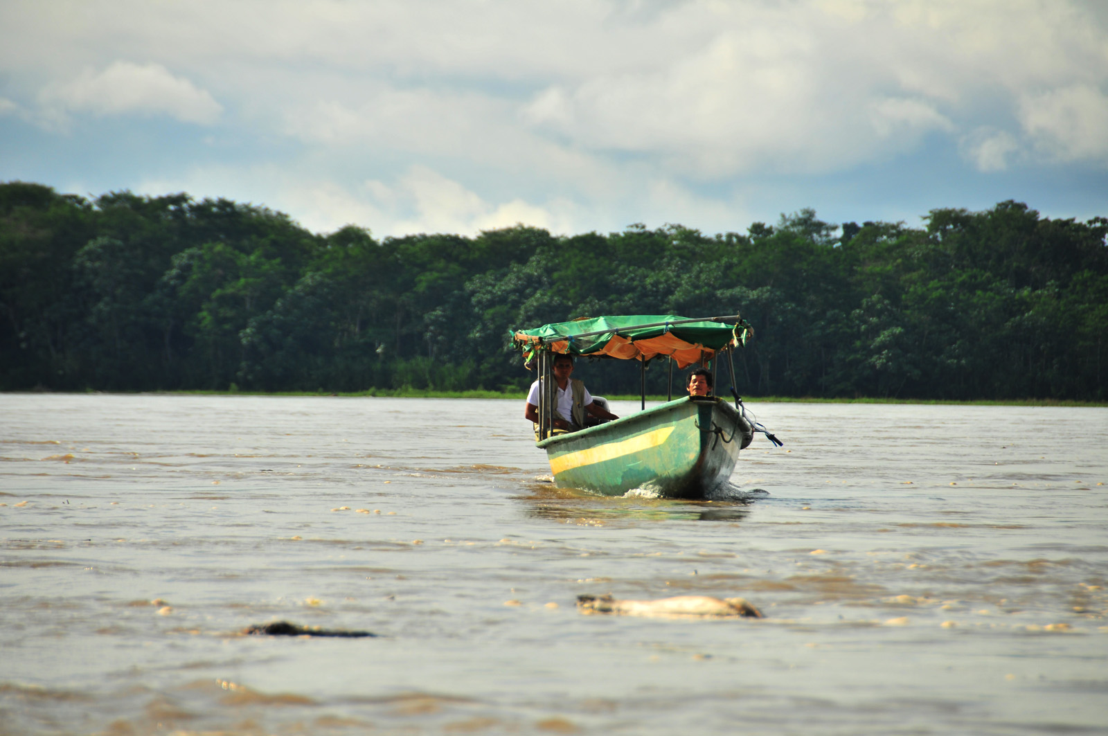 Canoes on the Napo River near El Coca, Ecuador