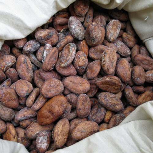Ghanaian cocoa beans