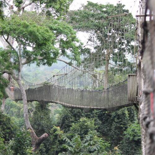 Kakum National Park canopy walkway, Ghana